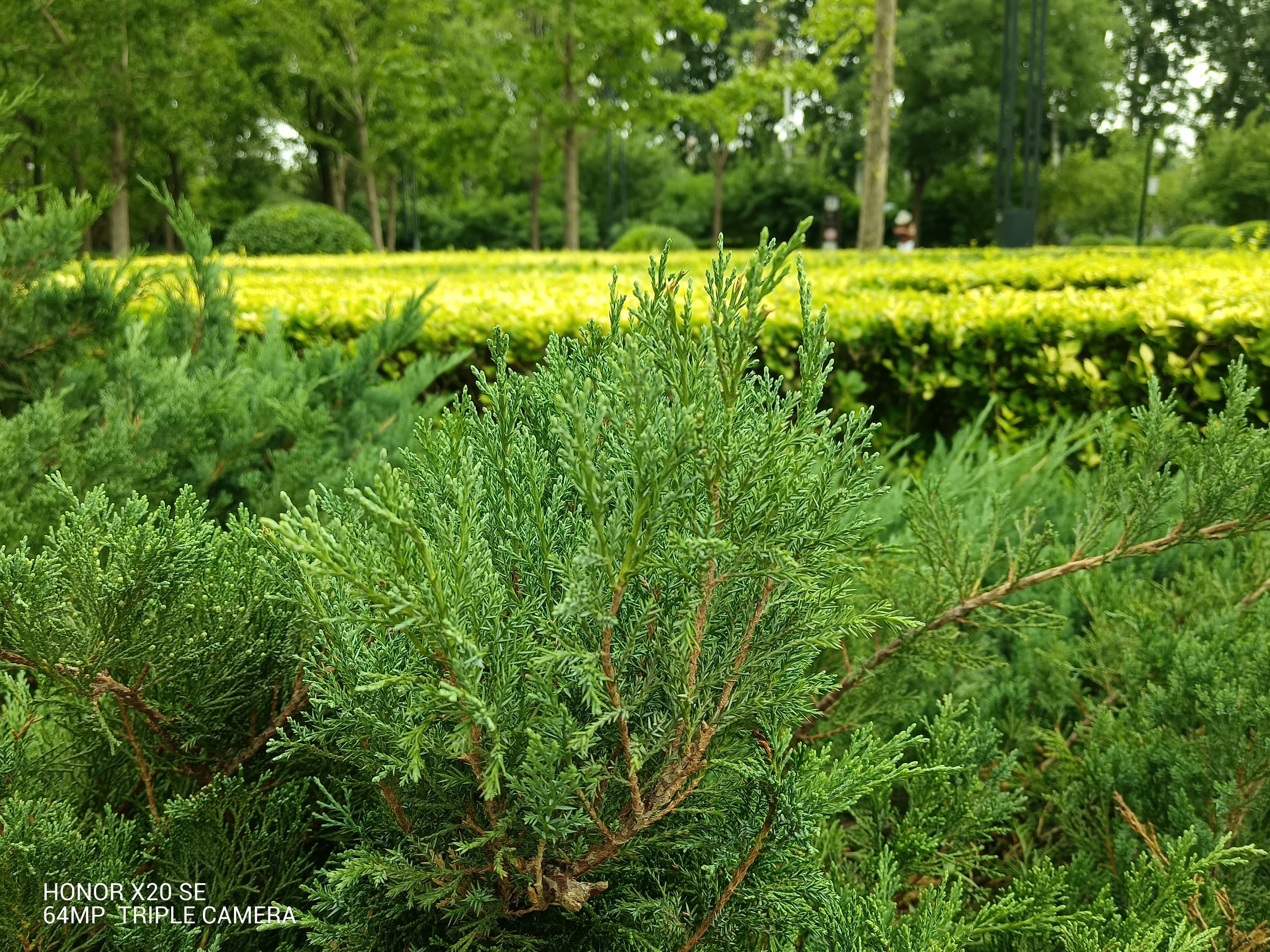 光荣2000元以下的曲面屏,2000元以下屏占比高的手机