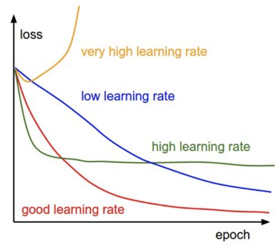 代码详细讲解,神经网络自动调参算法