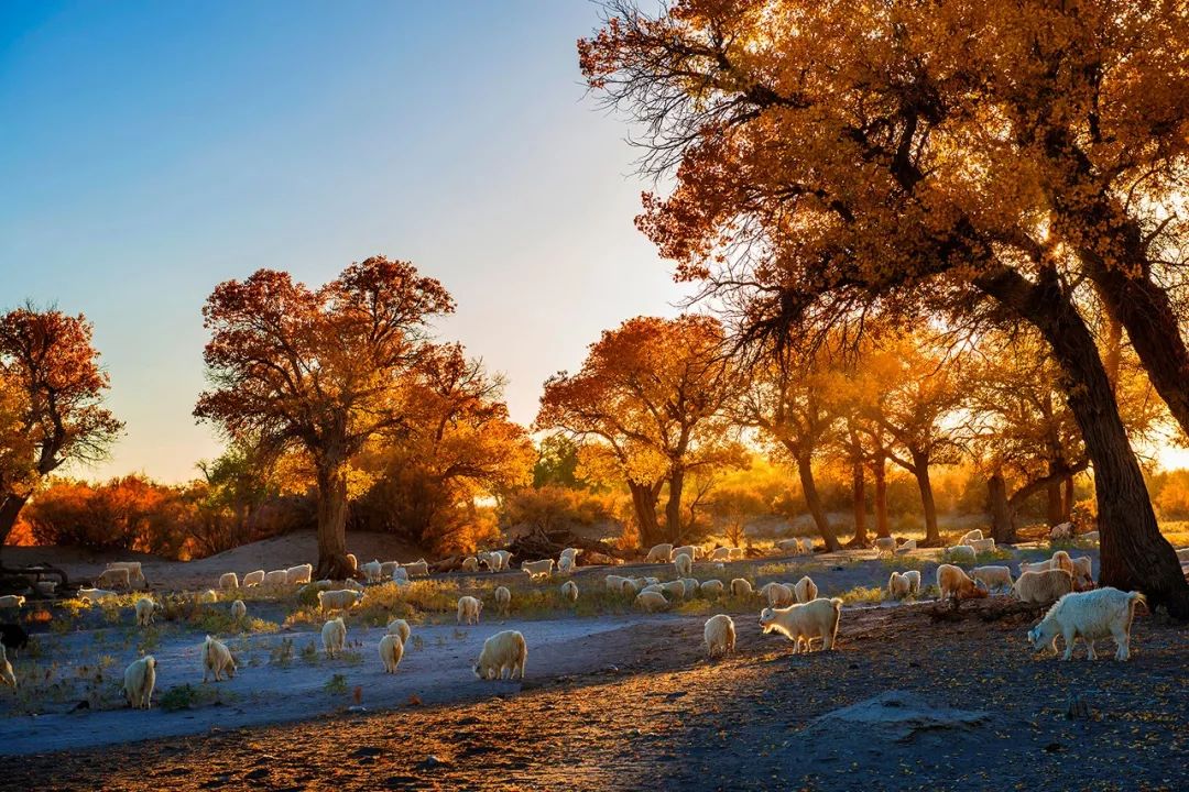 最值得去的10个国外旅行地,国内最值得去的二十个城市