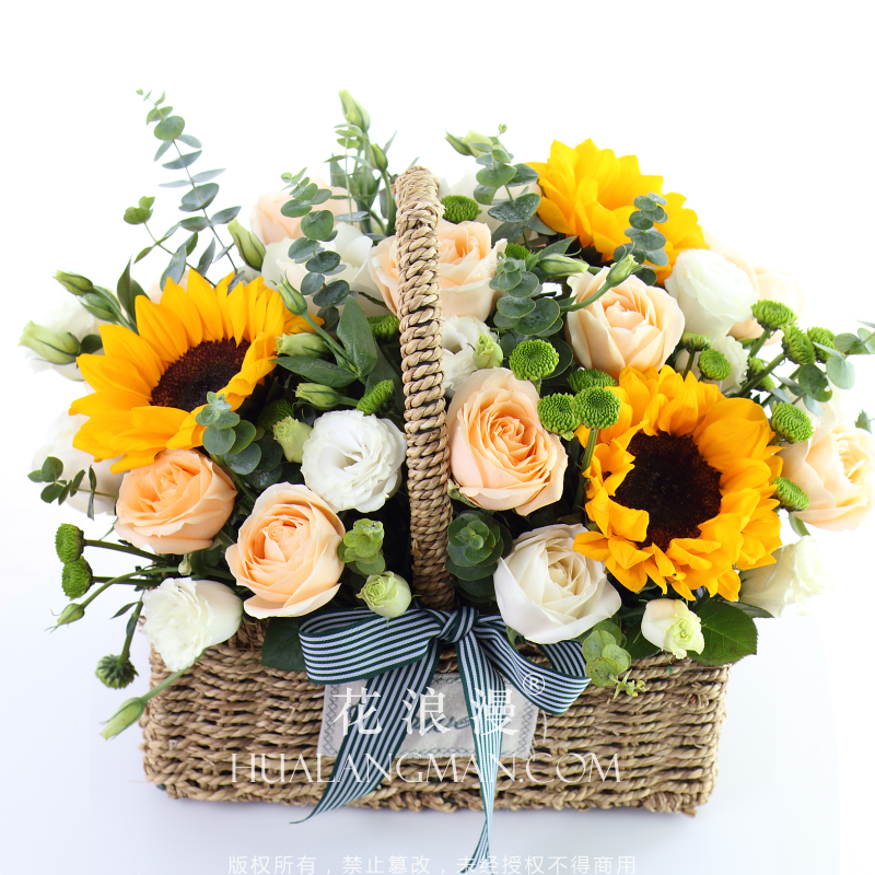 向日葵花花语经典超短句,向日葵花图片及花语