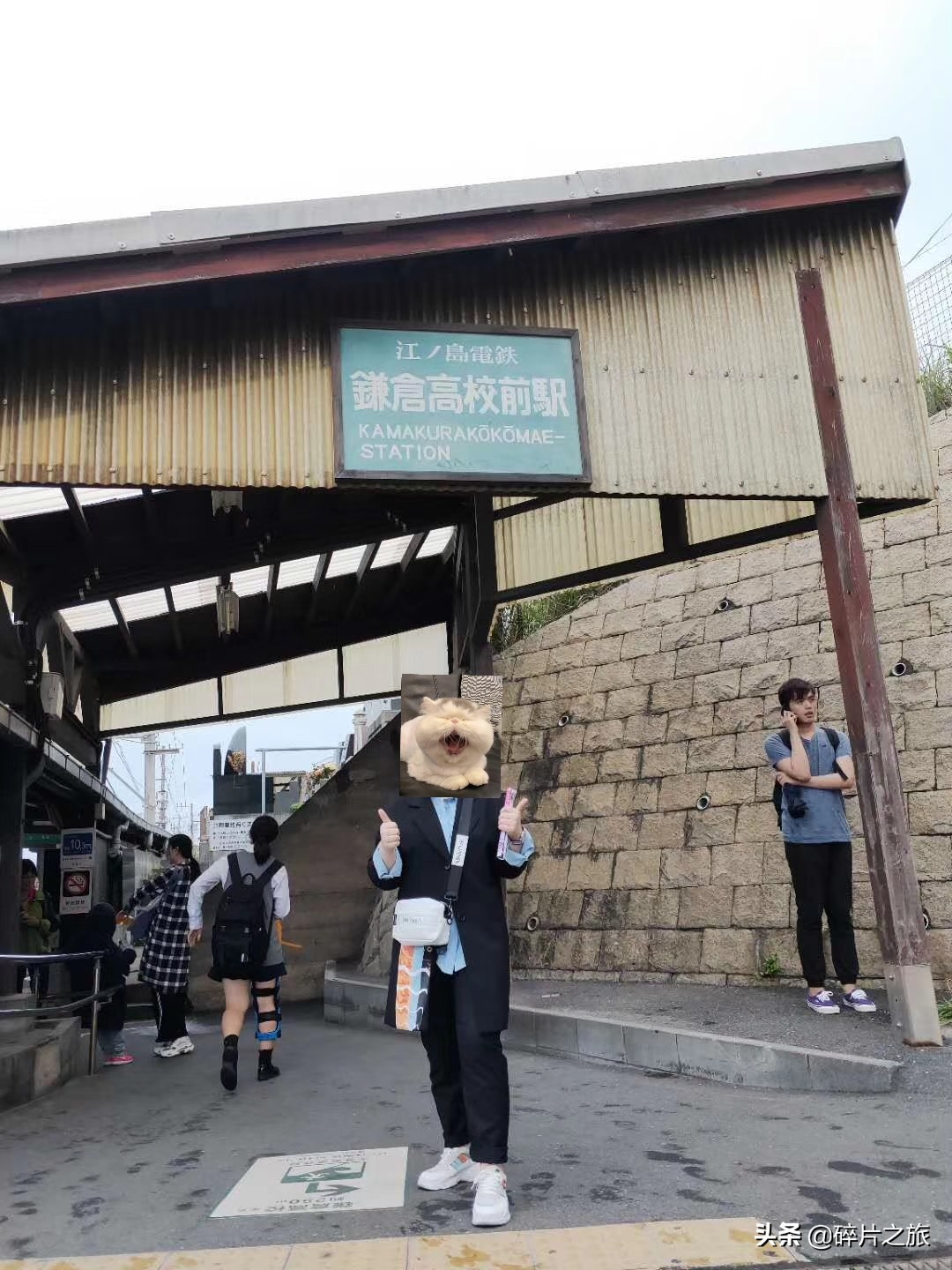 乘风破浪的姐们-上海日本豪华游轮六天五夜游攻略