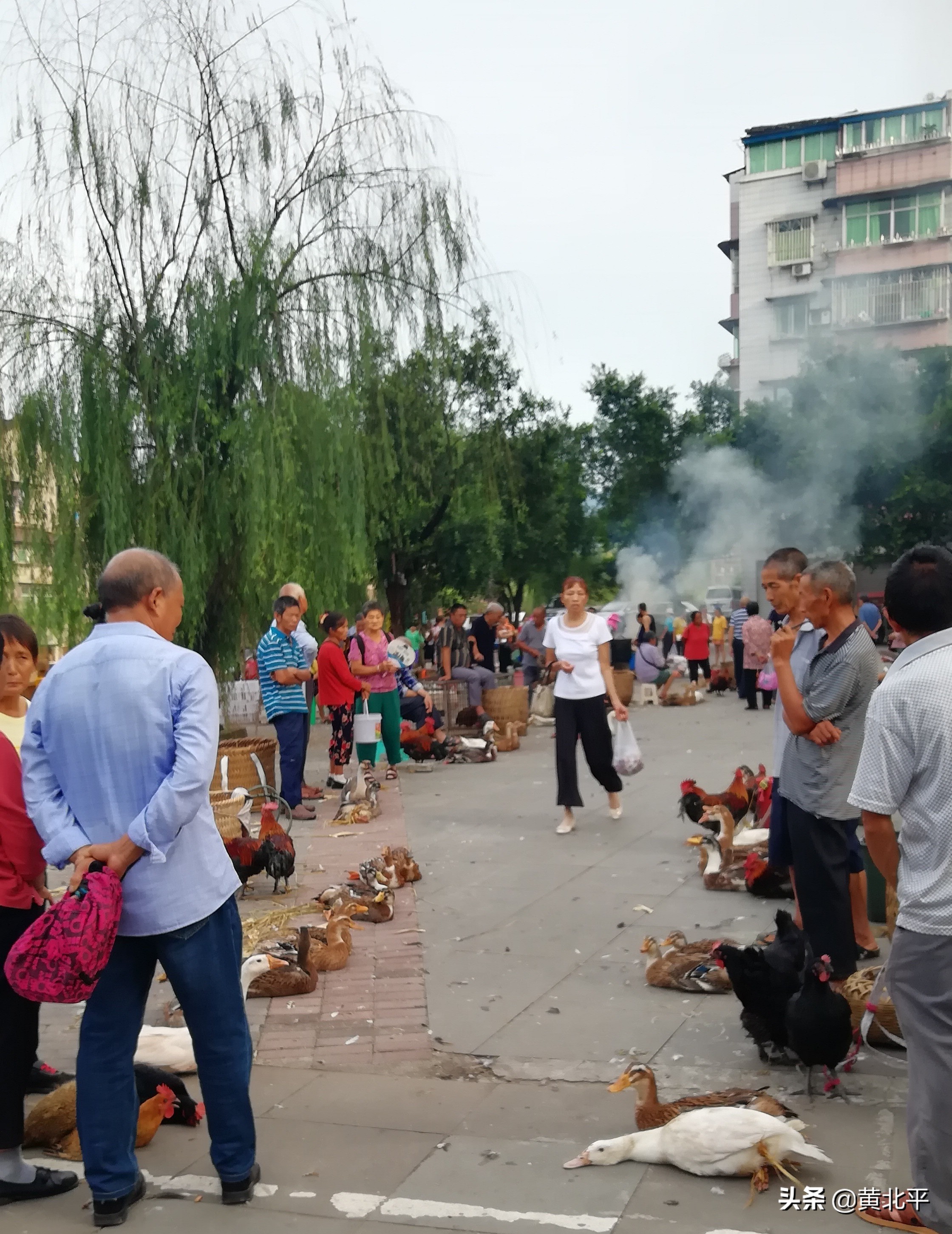 重庆市长寿区乡镇一哥，在现代与传统的冲击下依旧保持民俗
