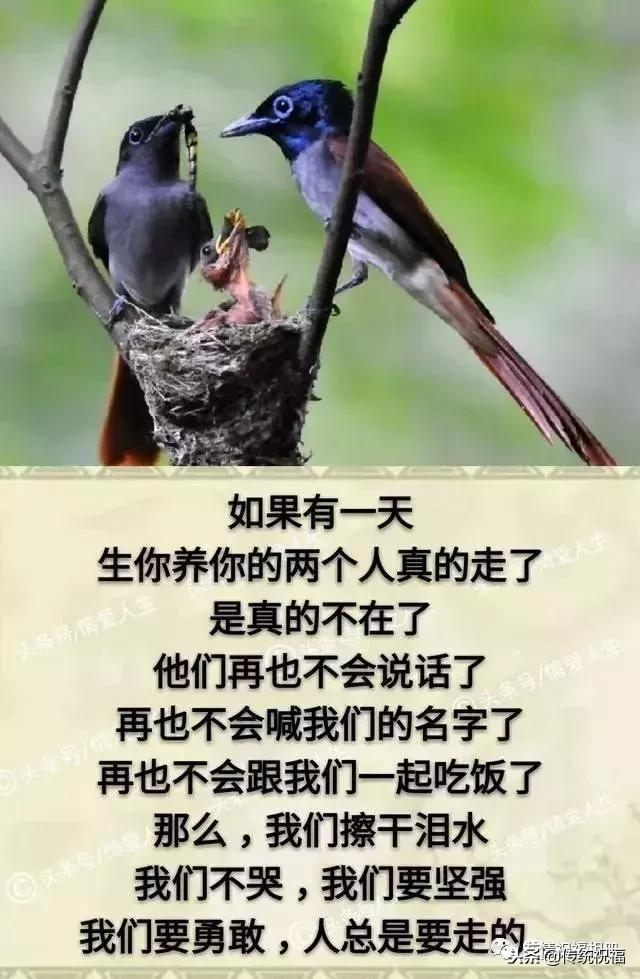 我的家庭相册怎么弄,我的家庭相册全集