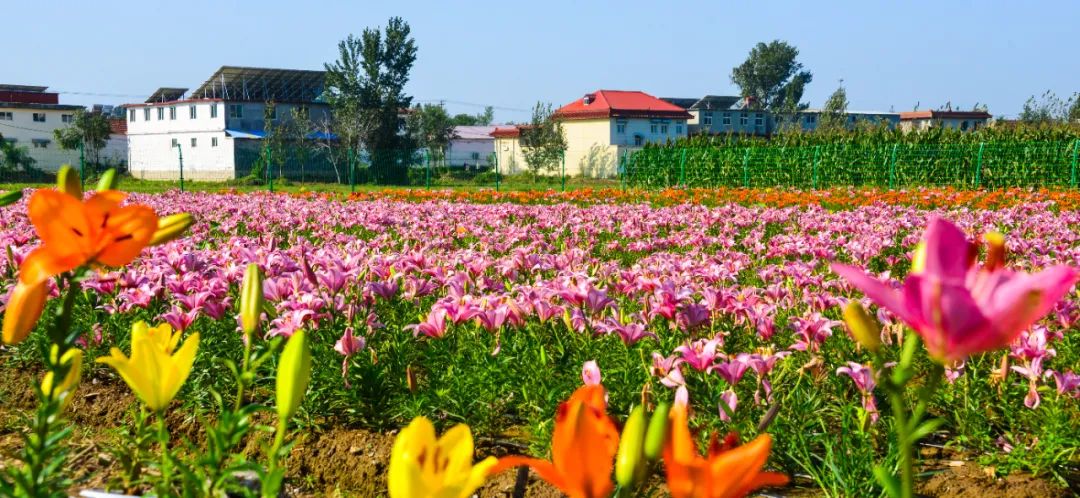 济南市中区推出十享文旅盛宴,济南一道道文旅盛宴