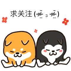 分气球小熊原视频,小熊分气球原版