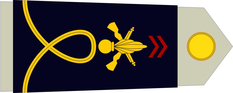 法国将军军衔等级,法国上校是什么军衔