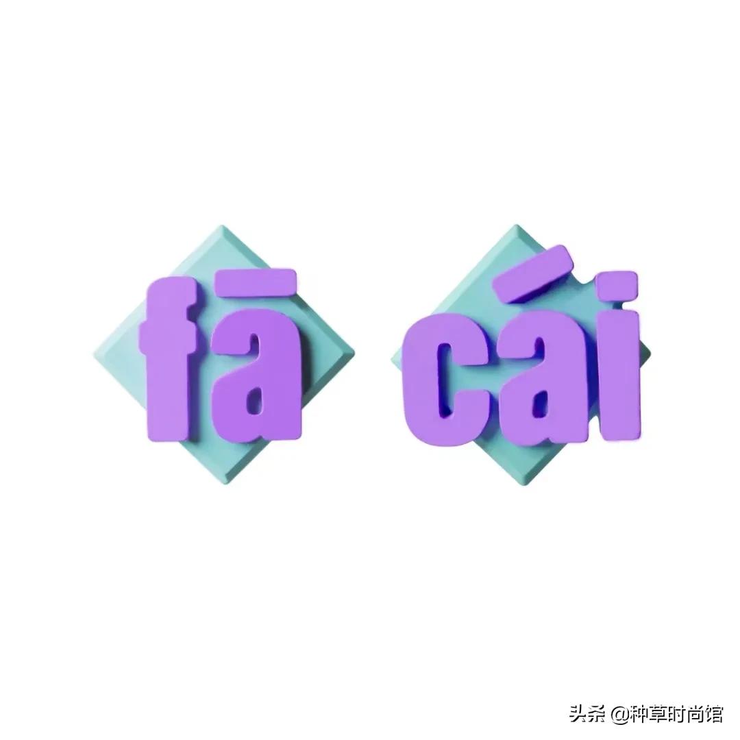 小众又高级的小物件商店,小众配饰平价宝藏店铺