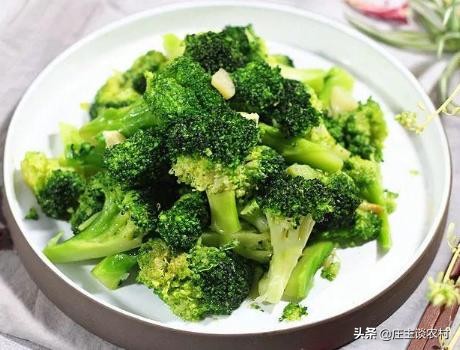 鼠年大吉菜谱大全,鼠年吉祥菜谱100例