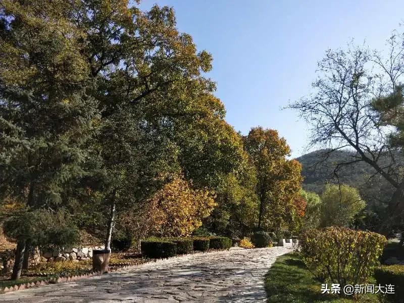 赏秋不必远行！大连这些地方美得正当时