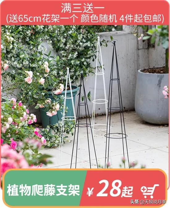 开新店买一送一活动,新店开业搞什么活动买十送十