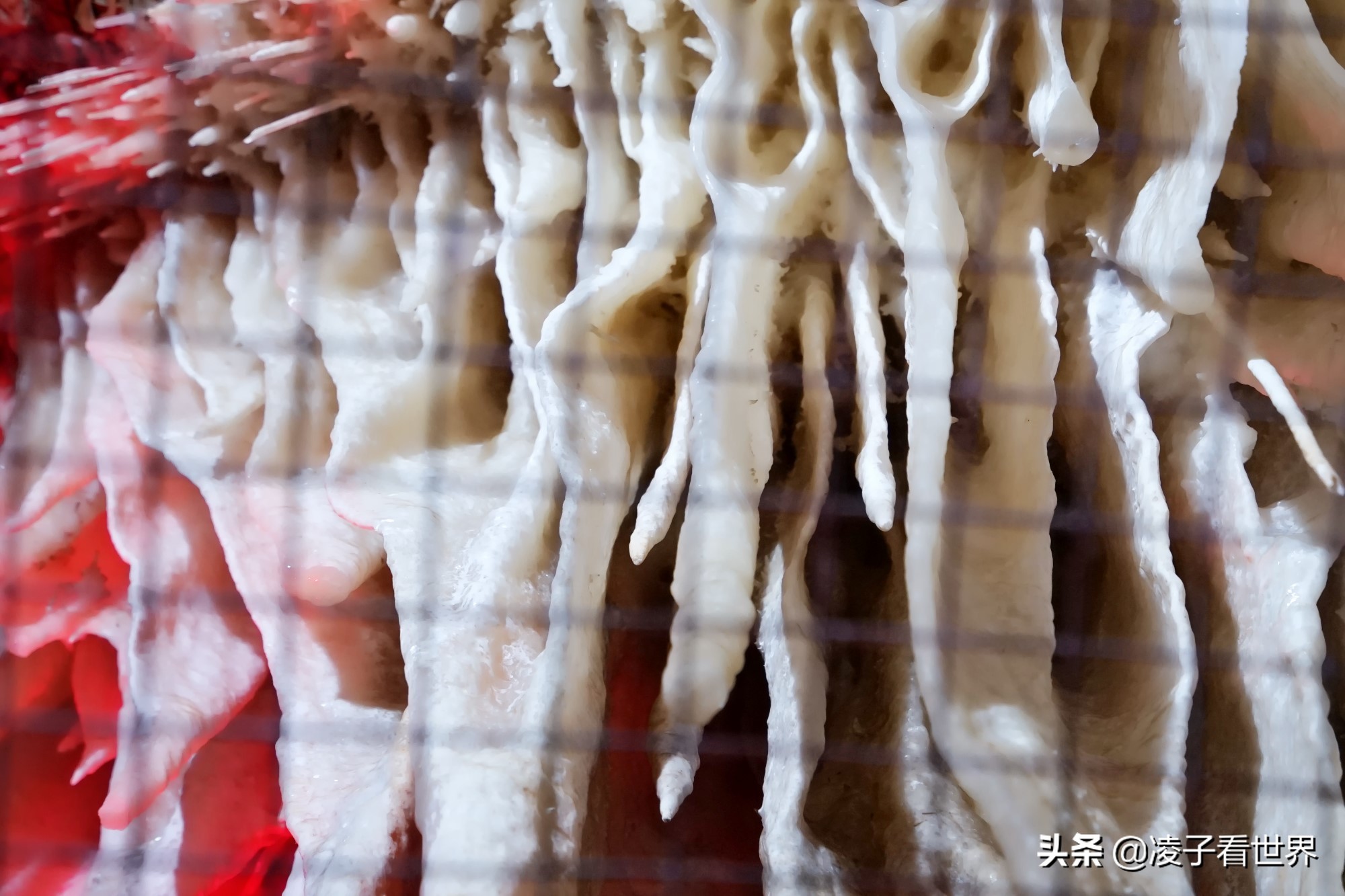 逃离北京40度高温，房山享用22度清凉，看银狐，逛古街吃铁锅炖