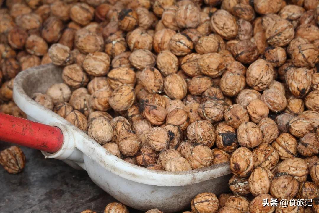 大凉山自然成熟的绿皮核桃,大凉山去青皮鲜核桃果肉饱满