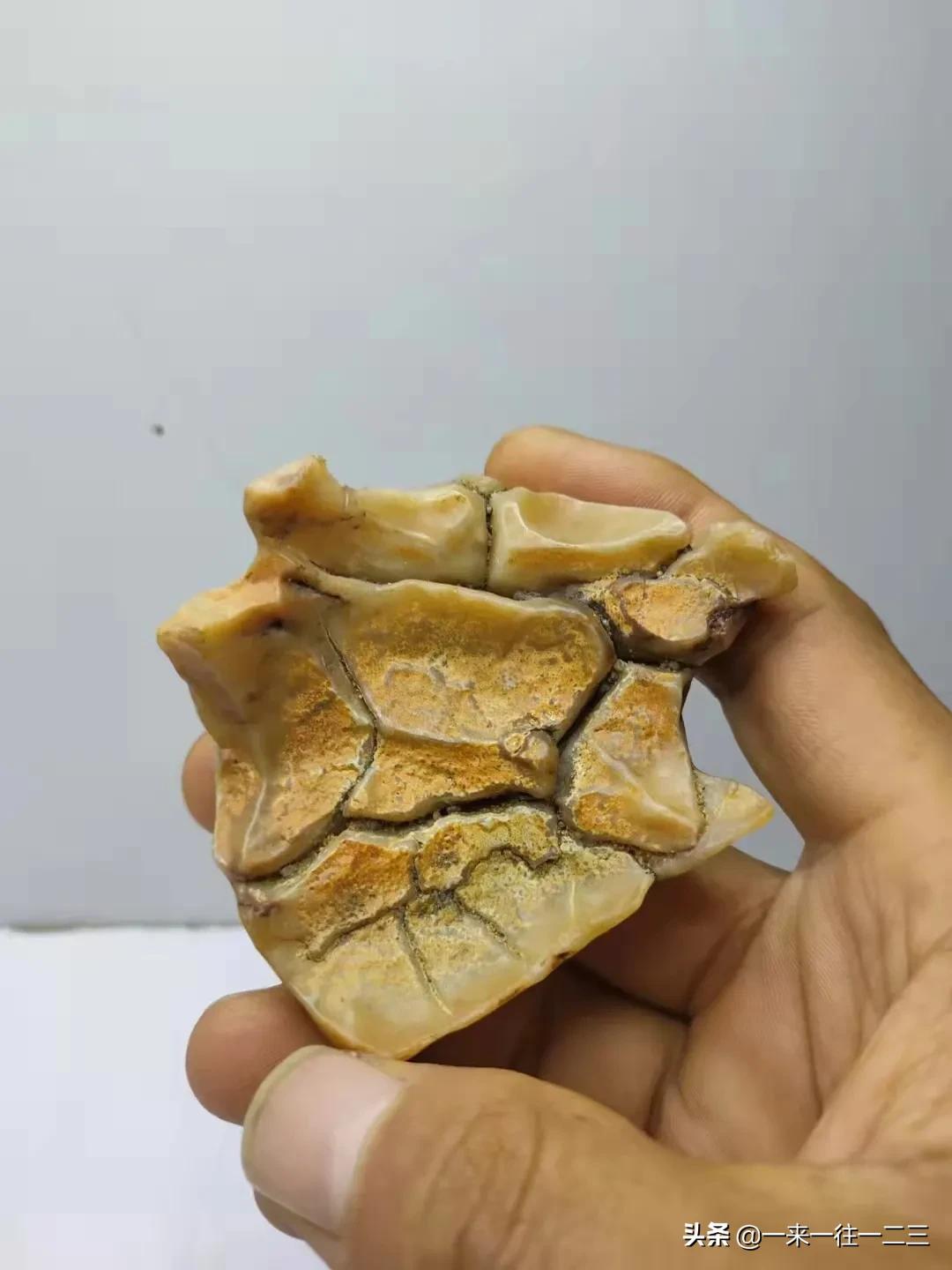 阿拉善天然戈壁奇石,阿拉善戈壁沙漠奇石