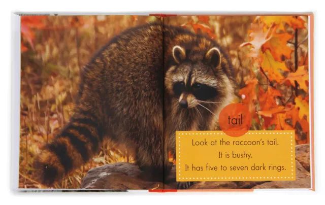 来聊聊总有一天要读的Non-fiction，怎么读，读什么...