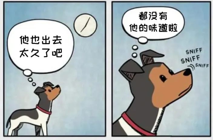 铲屎官和狗子的漫画,铲屎官和狗子们漫画