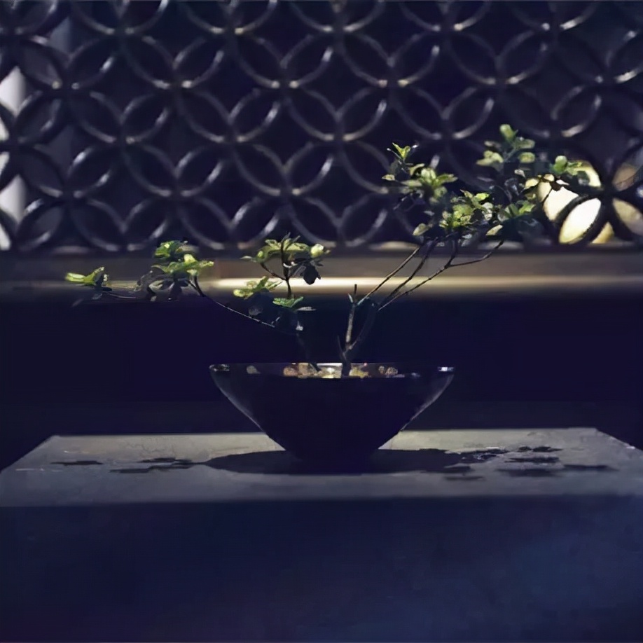 若能随他去便是世间自在人,若能一切随风去便是世间自在人