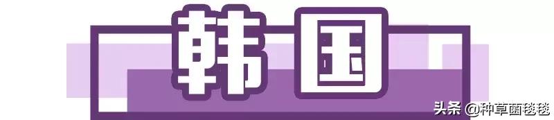 肖战王一博撞衫小众品牌,什么牌子的小众品牌好穿不撞衫