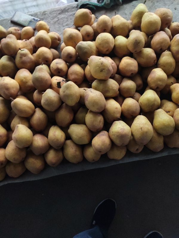 庄河最大早市,庄河南早市