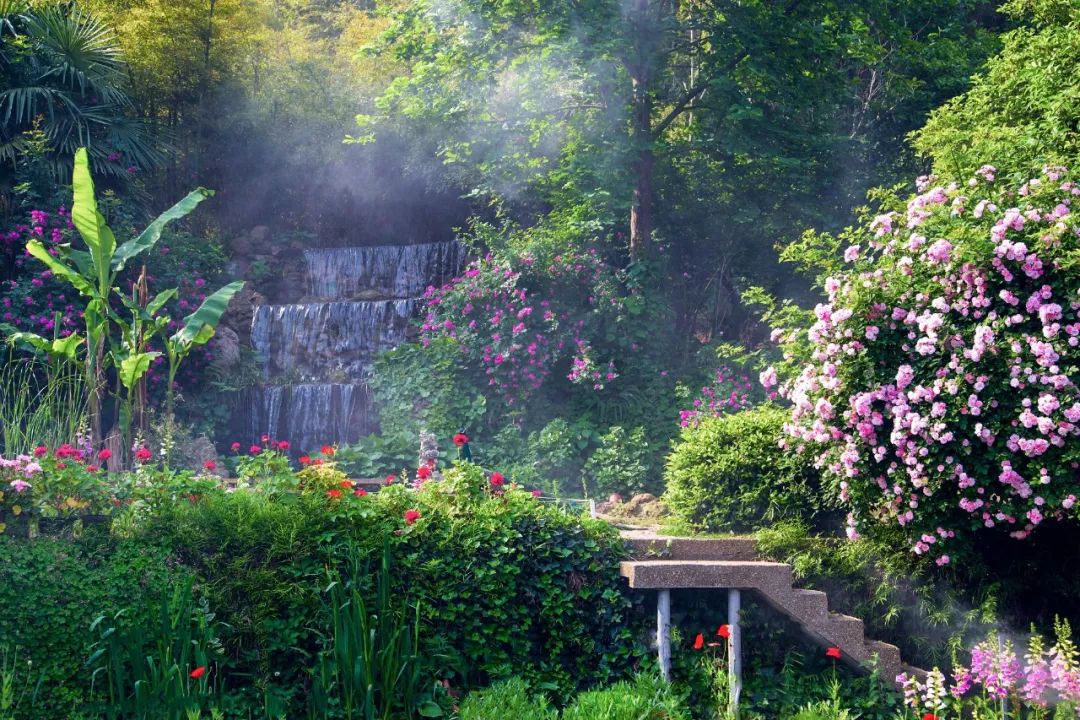 一个安徽爷爷，花1万块种出5000㎡私家花园，被评为中国最美