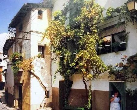 澳洲的酒和法国的酒区别,法国酒优势