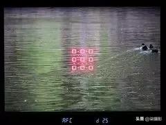 聚焦区域和自动对焦模式的选择,6d对焦模式和对焦区域