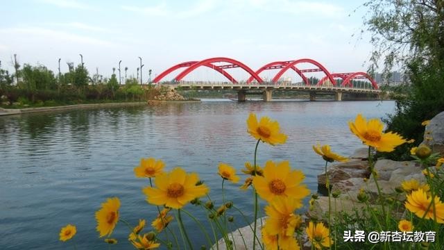 数学初中有理数知识点,初中数学有理数相应概念题型归纳