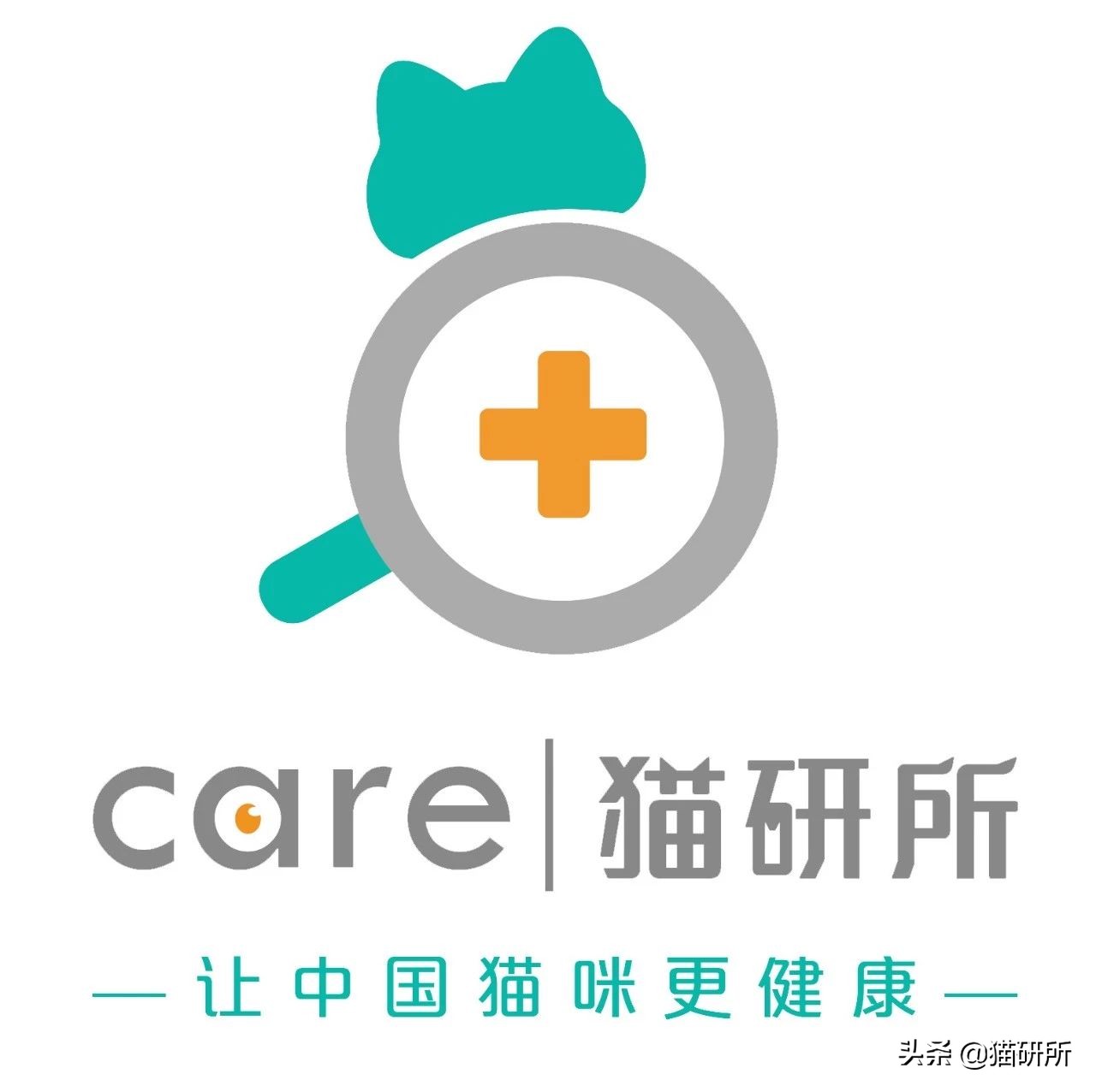 对猫的误解狂犬病,关于猫的冷知识有哪些