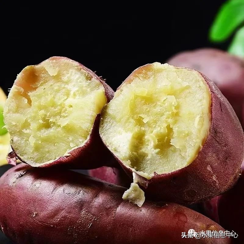 海南水果都有哪些品种图片及名称,海南水果上市时间表赶快收藏吧