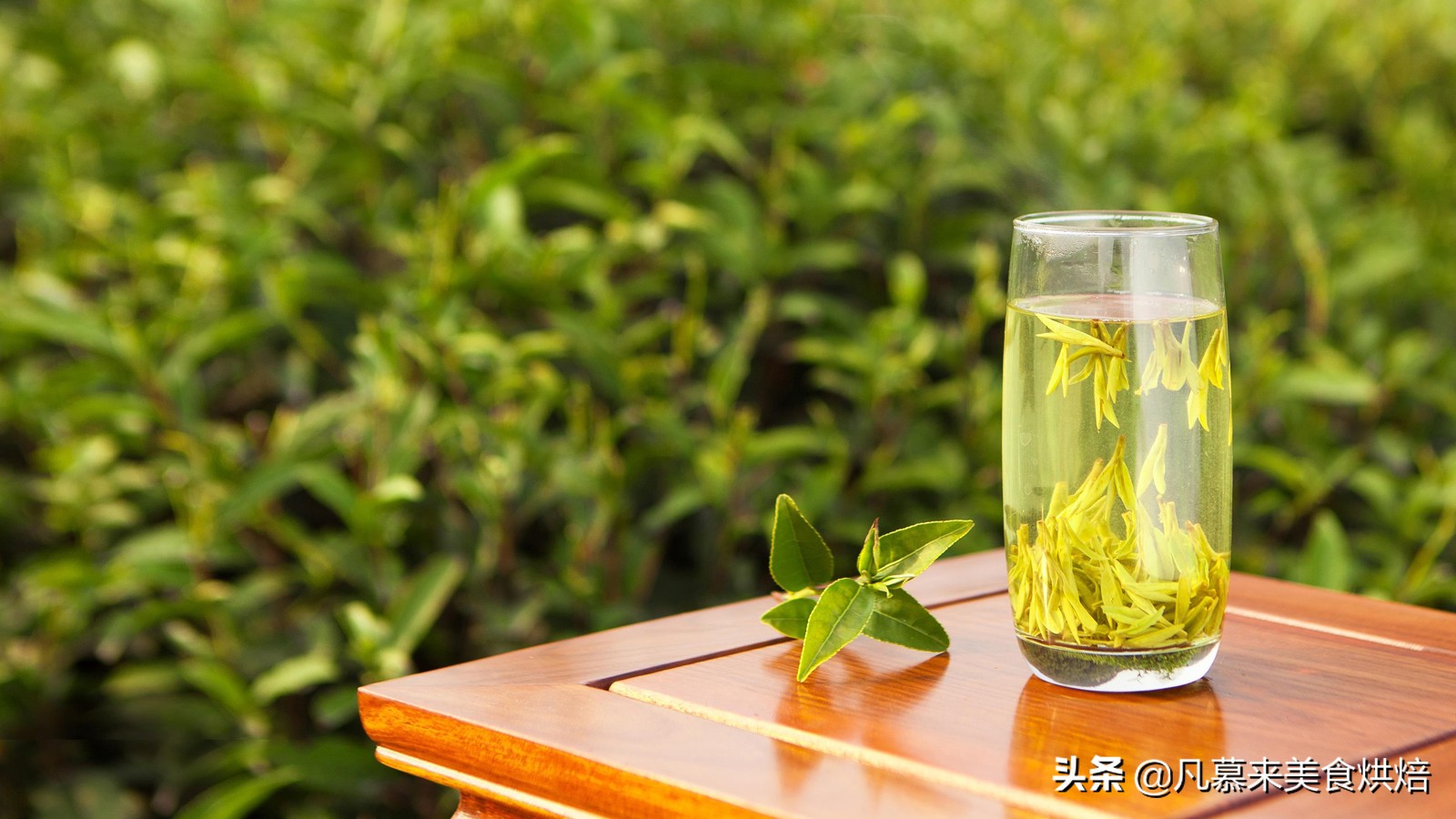 茶叶十大名茶代表茶叶品种,茶叶品种最好的茶是什么茶类呢