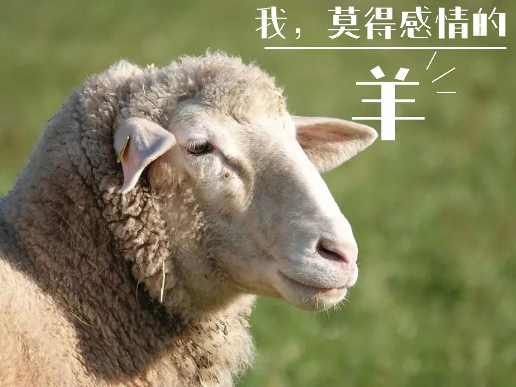 策划缝合技术教学,间断缝合完整流程教学