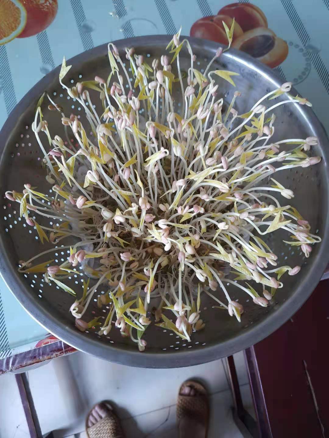 广西抗疫老奶奶,70岁抗疫老奶奶