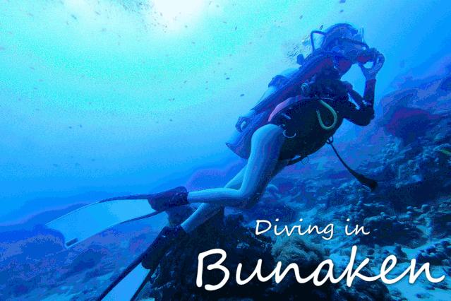 美人鱼水下课程,美人鱼海洋课程