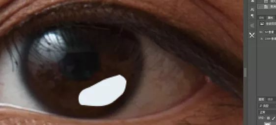 拍摄证件照怎么布光,证件照后期拍摄方法