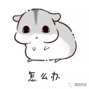 人居环境提升|蚂蝗箐村“厕所革命”，让“方便”更方便~