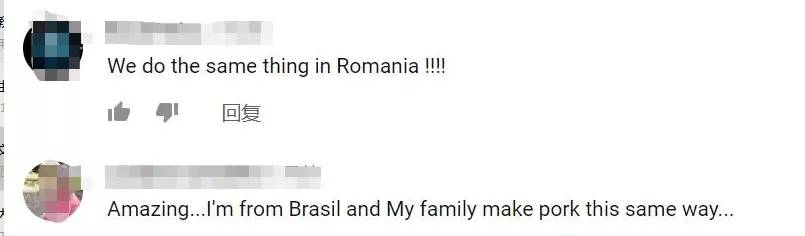 李子柒田园生活的魅力在哪里,当李子柒看到了不一样的田园生活