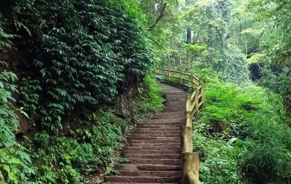 峨眉山降价最新消息,峨眉山的门票打折什么时候结束