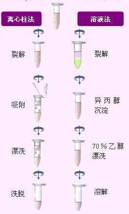 pcr核酸检测技术结果分析,核酸检测方法pcr技术