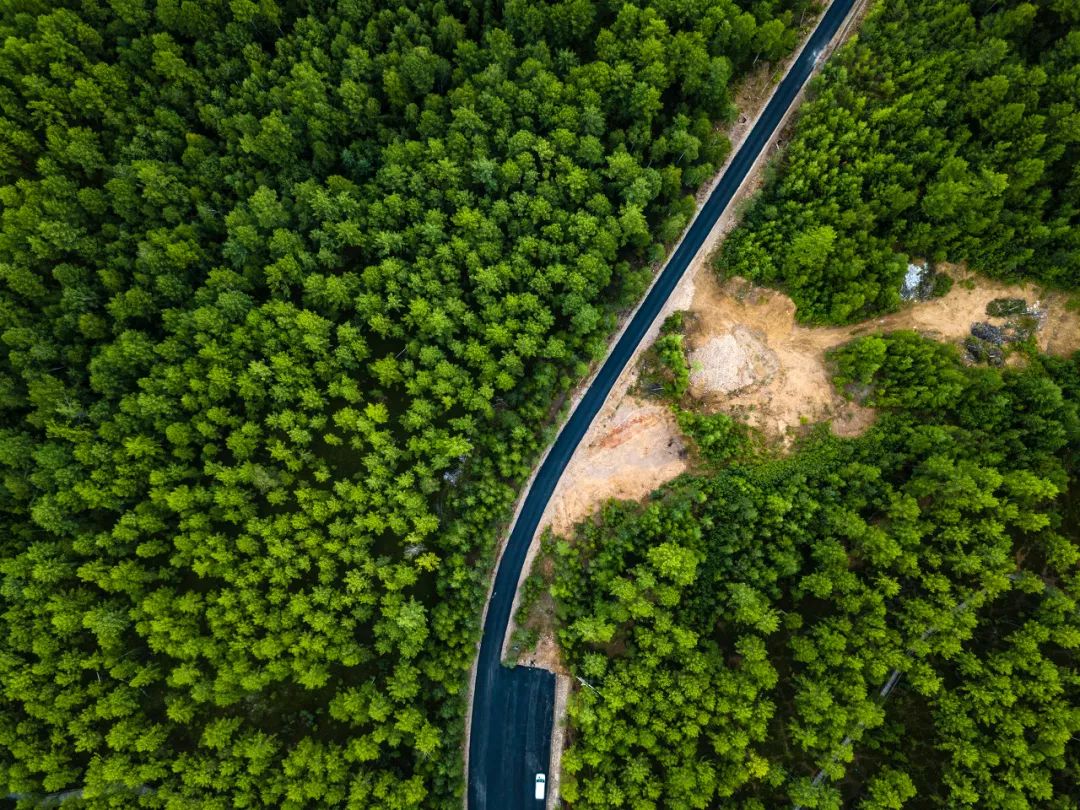 呼伦贝尔感受大自然的美好,呼伦贝尔终生难忘的草原