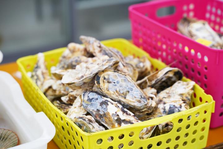 日本九州七星列车,日本九州列车