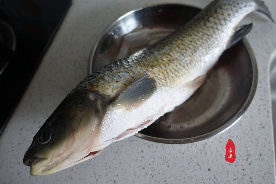 炖鱼的家常做法草鱼炖豆腐,五花肉草鱼炖豆腐怎么做才好吃啊