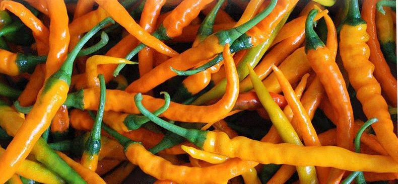 全国农产品地理标志目录湖南篇,湖南省株洲市农产品地理标志名单