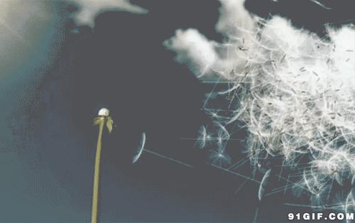 贝克汉姆头秃,贝克汉姆秃了头