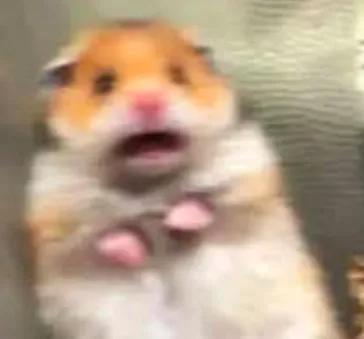 澳洲企业破产,澳洲公司破产