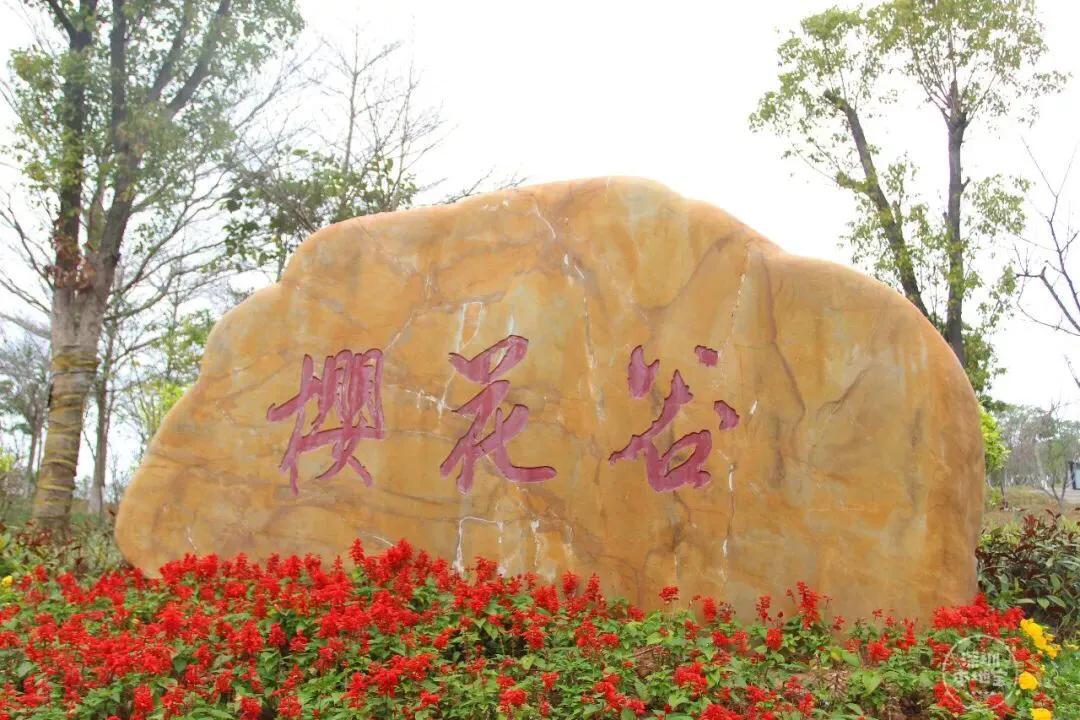 深圳花海公园推荐景点有哪些,深圳花海公园地址在哪里