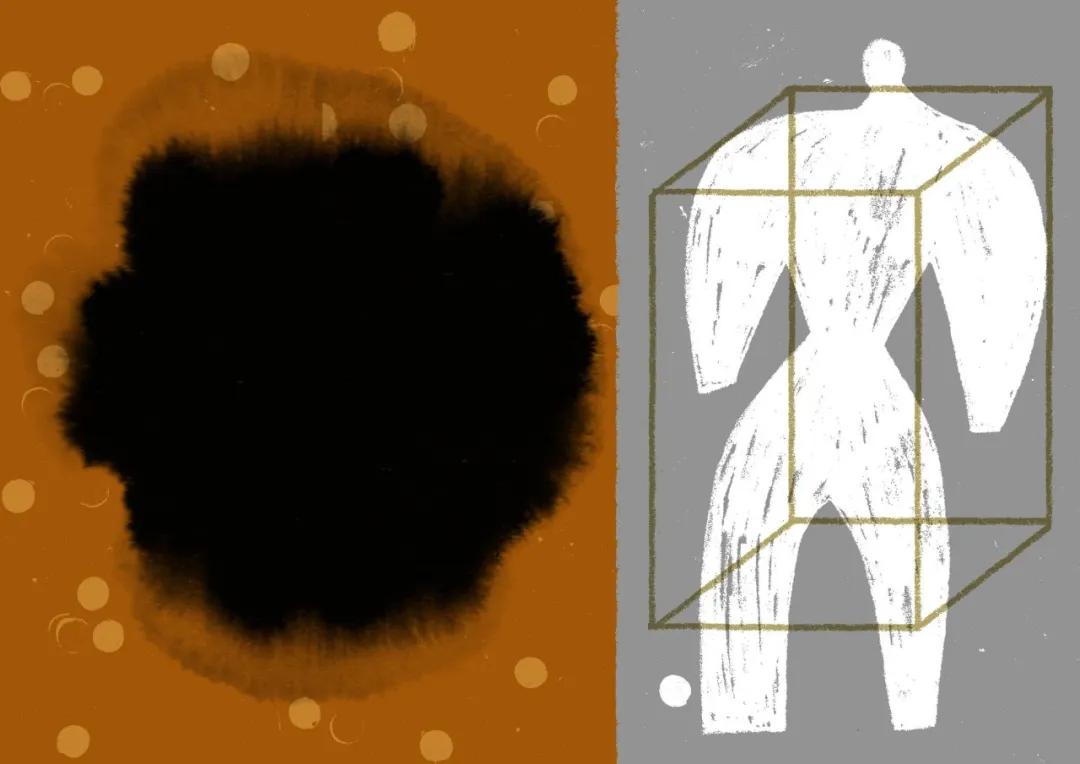 纽约时报去年的文章,纽约时报年度最佳图书