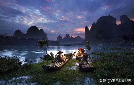 鱼鹰老人：可不可以，不要忘了我们