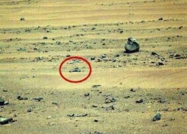 美国国家航空航天局火星探测器,美国2020年11月发射的火星探测器