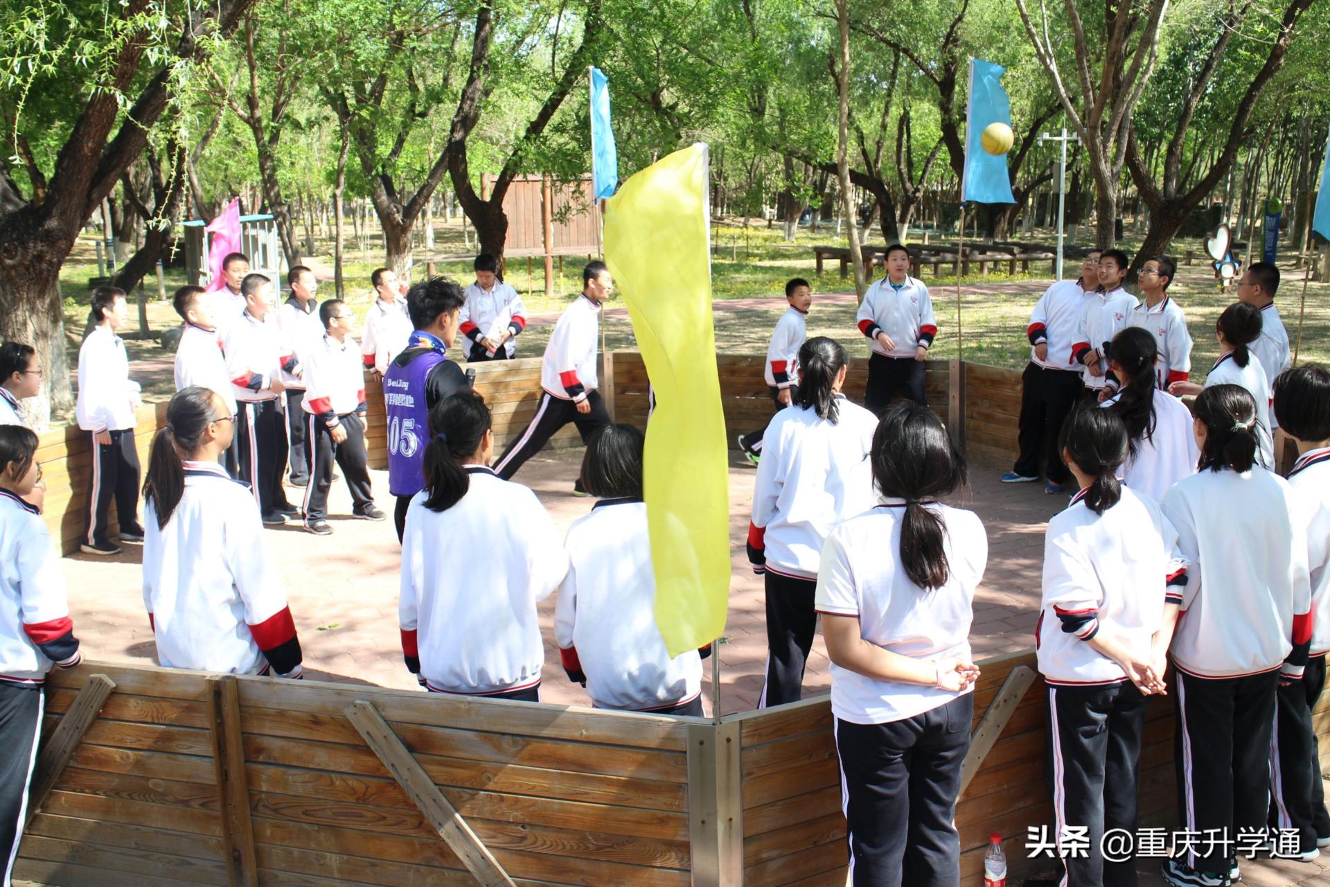 七龙珠学费一览表,七龙珠的学费