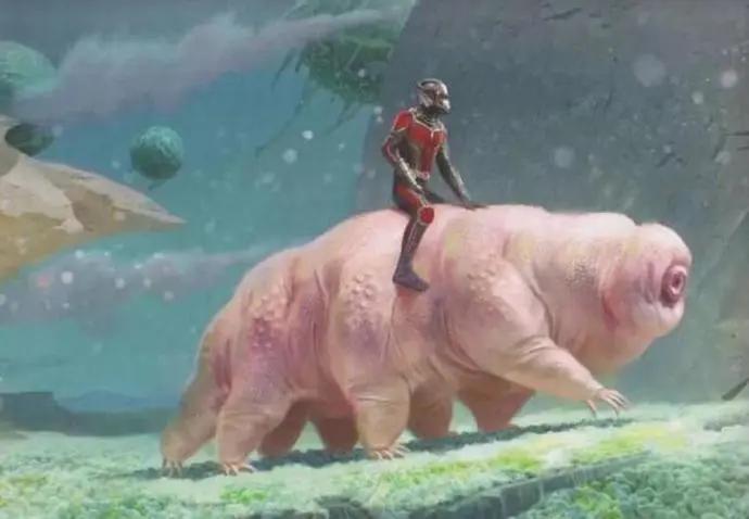 水熊虫能被核弹杀死吗,核弹能不能炸死水熊虫