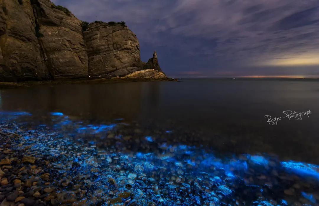 旅游三亚和厦门哪个更值得去,三亚和厦门哪个更值得去三亚旅游